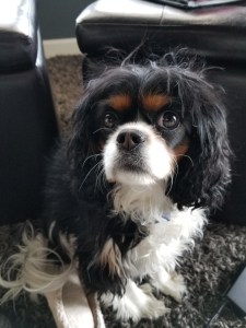 20180105_135733[6926]